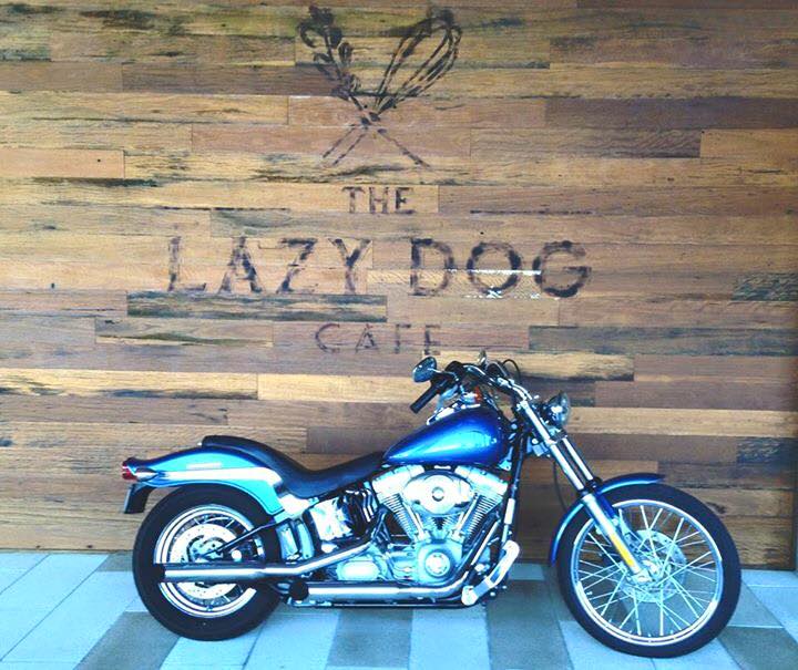 Dog friendly cafe Newstead