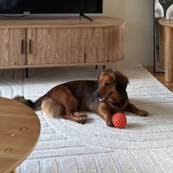 Past PetCloud client