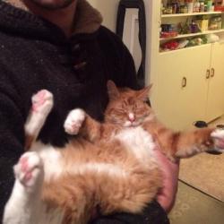 Past PetCloud client