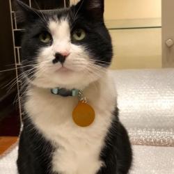 Past PetCloud client