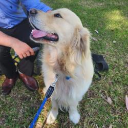 Past PetCloud client