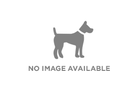 PetCloud Pet Owner